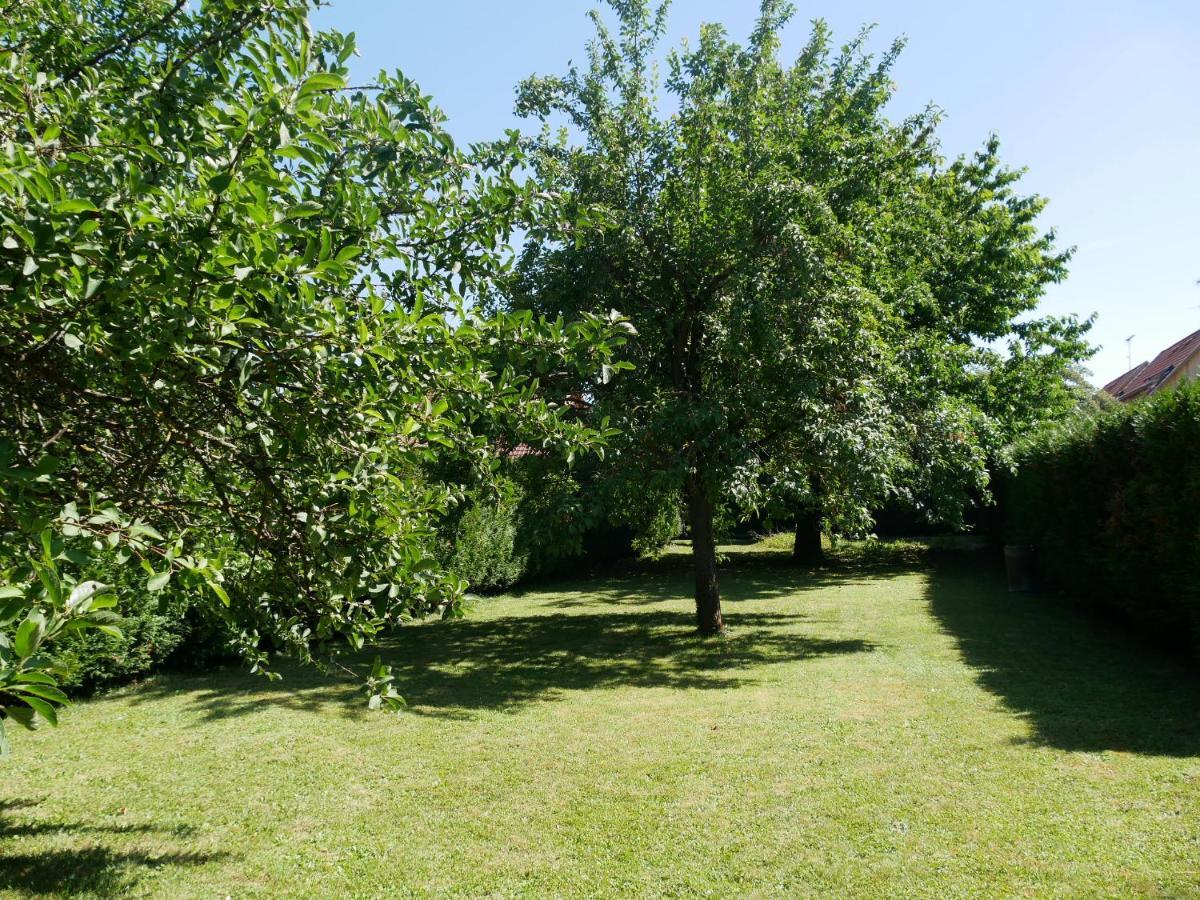Au Gre Des Chateaux Goxwiller Bagian luar foto